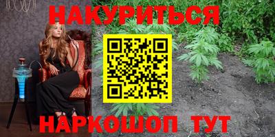индика Партизанск